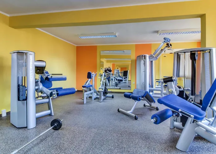 Hotel Western Vista 4*